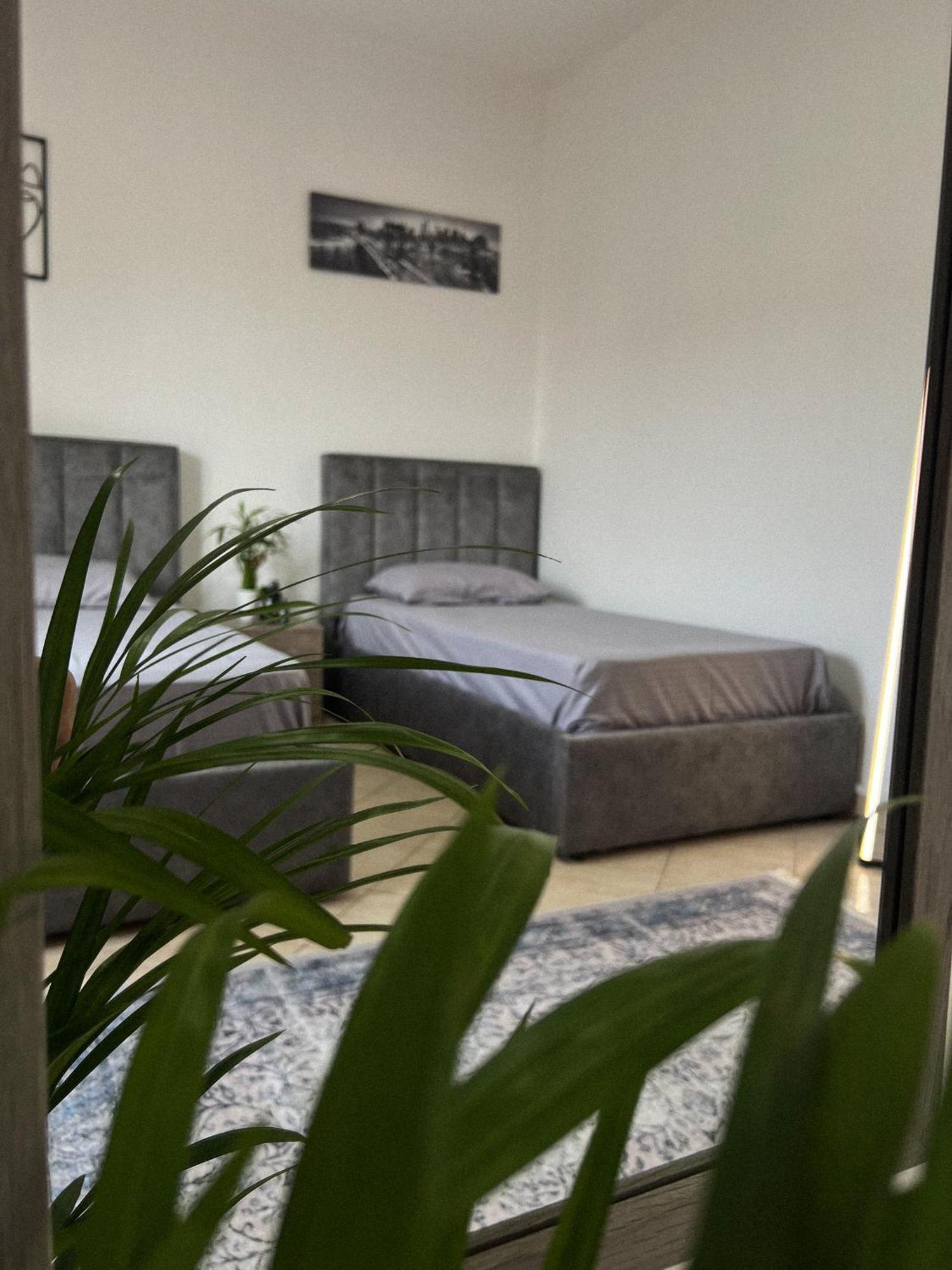 Hostel By Fenix Tirana Buitenkant foto